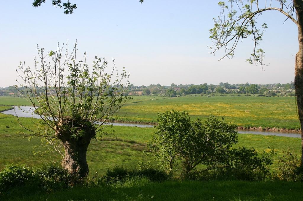 Gite Marguerite Les Moitiers-en-Bauptois Exterior photo